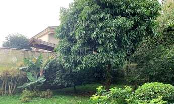 Imagem 4: Porto Alegre - Casa Padrão - Vila Assunção