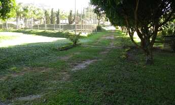 Imagem 2: Fazenda/sítios/chácaras com 3 dormitórios à venda em Betim