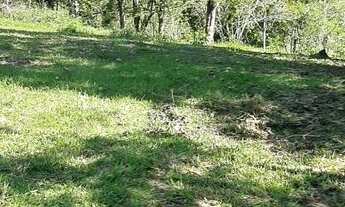 Imagem: SÍTIO no PARQUE GUARANI com 0 quartos para