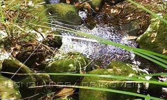 Imagem 5: Terreno para Venda em Biguaçu, Boa Vista