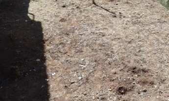 Imagem: Lote 154 m - Residencial das Flores - Itapevi