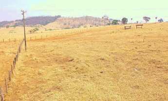 Imagem 4: Fazenda Dupla Aptidão