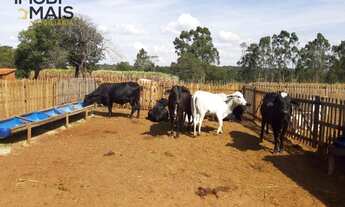 Imagem 7: Chácara com 3 dormitórios à venda, 36300 m² por R$ 650.000,00 - Santa Izabel - Arealva/SP