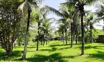 Imagem 4: Sítio / Chácara para Venda em Rio de Janeiro, Ilha de Guaratiba, 4 dormitórios, 2 suítes