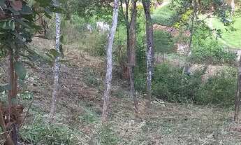 Imagem 7: TERRENO 1988M² TOPOGR VARIADAS E SUAVE, CABE QQR PROJETO, 3KM DO ASFALTO, 15 MIN DO CENTRO