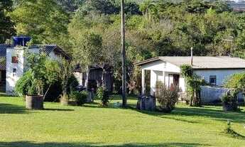 Imagem 4: Magnífico sítio de 8 hectares a 100 metros RS118, Viamão