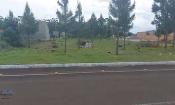 Imagem 5: Passo de Torres - Terreno Padrão - Novo Passo