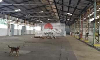 Imagem 5: Vendo galpão 5.000 m² em terreno 15.000 m² Bonsucesso!!