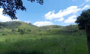 Imagem 2: FAZENDA ÀS MARGENS DA BR 393 - VASSOURAS - 23,8 ALQ. MINEIROS