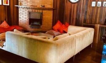 Imagem 3: Feliz entre as árvores