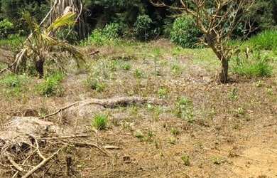 Imagem 2: Oportunidade de Lote/Terreno Parcelado - Ibiúna - SP