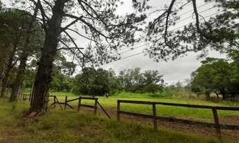 Imagem: Porto Alegre - Sítio - Campo Novo