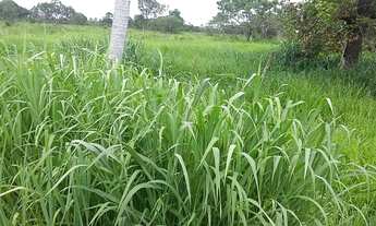 Imagem 2: Oportunidade! Vende-se uma bela fazenda de 153 hectares