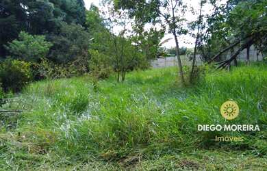 Imagem 3: Terreno à venda em Mairiporã com 3.000 m²