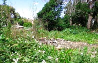 Imagem 2: Porto Alegre - Terreno Padrão - Camaquã