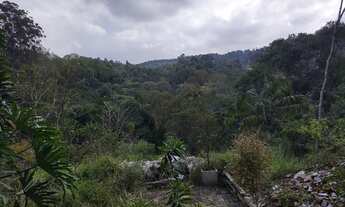 Imagem 7: Expetacular Chácara terreno com 5.500 metros quadrados - Grande Platô Bolsão Santa Paula