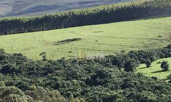 Imagem 2: Fazenda à venda, 2420000 m² por R$ 8.000.000,00 - Zona Rural - Cruzília/MG
