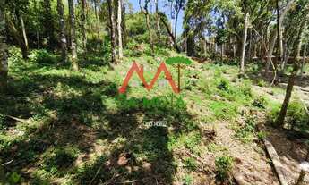 Imagem 6: Terreno em região nobre de Campos do Jordão - Vista para Pedra do Baú