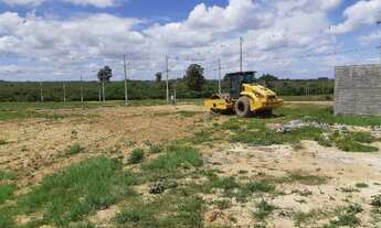 Imagem 2: Terreno no bairro Universitário