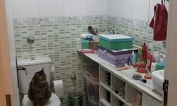 Imagem 2: APARTAMENTO - CHÁCARA SANTO ANTONIO - SP