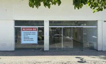 Imagem 2: Botafogo Galpão / depósito com 4 vagas na garagem