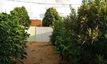 Imagem 7: PAULICEIA - Chácara - SANTO ANDRE