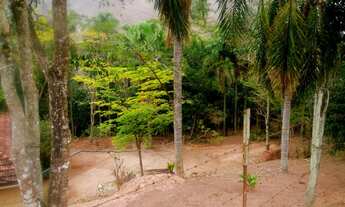 Imagem 4: Sítio beira do asfalto