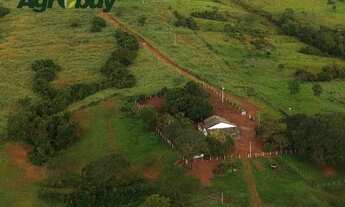 Imagem 7: Fazenda em Gurupi TO