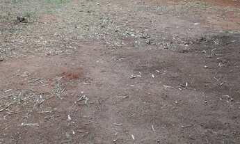 Imagem 3: Chácara em Munhoz