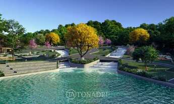 Imagem 4: Camboriú - Terreno Padrão - Tabuleiro