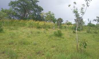 Imagem: Vendo terreno no KLM 15 medindo 211 por