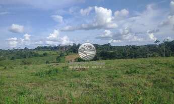 Imagem 3: Machadinho D'Oeste - Sítio - 12.5 Alqueires