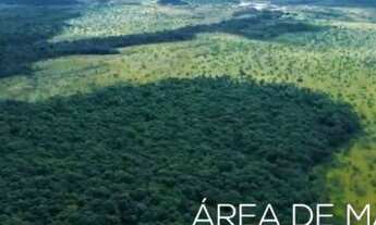 Imagem 6: Fazenda/ Bonfim Fazenda / sítio com venda por R$10.000