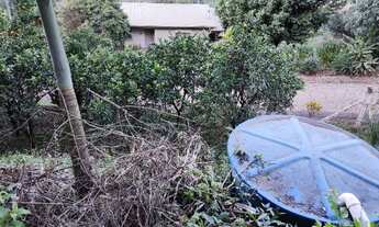 Imagem 6: Casa 3 quartos, interior Carlos Barbosa