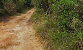Imagem 6: TERRENO undefined em CAMAÇARI - BA, COQUEIROS DE AREMBEPE (ABRANTES