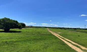 Imagem 3: Vendo 683 hectares serra do mel