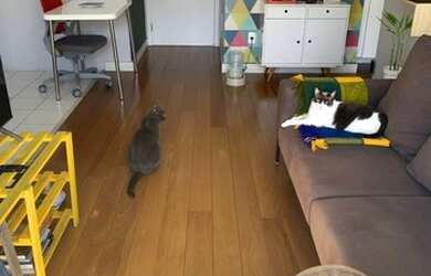 Imagem 5: APARTAMENTO - POMPÉIA - SP