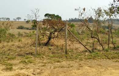 Imagem 2: Chácara com 3600 m² em Igarapé