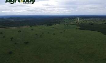 Imagem 2: Fazenda em Gurupi TO