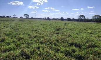 Imagem 3: Fazenda 140 Alqueires Dupla aptidão