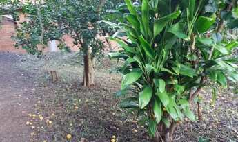 Imagem 2: Terreno- Petrópolis, Bingen