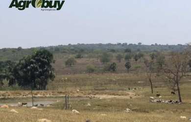 Imagem 2: Fazenda Localizada no Município de Iporá go