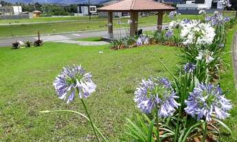 Imagem 6: TERRENO EM CONDOMÍNIO no VILA NOVA com 0 quartos para VENDA, 249 m²