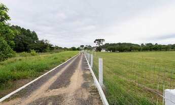 Imagem 4: Porto Alegre - Sítio - Lageado