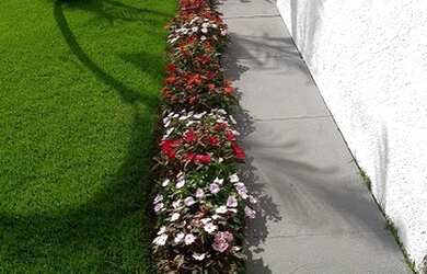 Imagem 5: 3000 m² 4 quartos suite piscina sauna churrasqueira