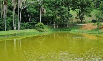 Imagem: Sítios à venda em Piracaia/SP - Compre