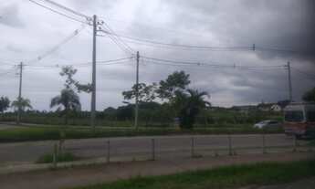 Imagem 5: Vendo Terreno de 960m² no Mato Alto