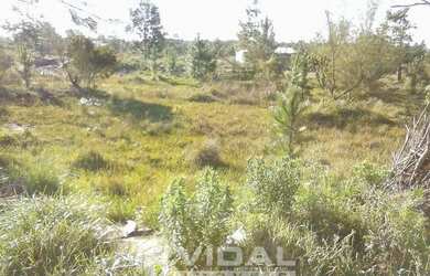 Imagem 4: Tramandaí - Terreno Padrão - Nova Tramandaí