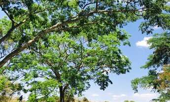 Imagem 2: Ótima Oportunidade em Cordisburgo - Chácaras de 20.000 (2 hectares