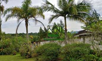 Imagem 4: Chácara com 3 dormitórios, 5000 m² - venda por R$ 550.000 ou aluguel por R$ 3.500/mês - Em